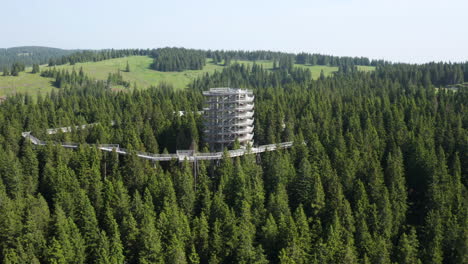 Torre-Alta-En-Pohorje-Treetop-Walk-En-Medio-De-Frondosos-árboles-Verdes-En-El-Bosque-En-Rogla,-Eslovenia