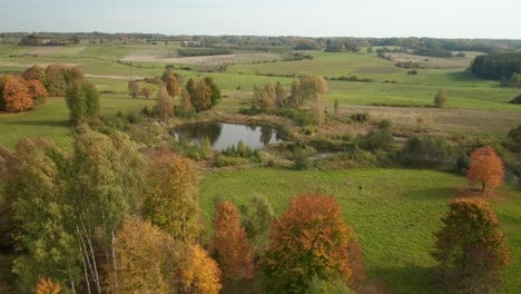 AERIAL:-Isolated-Small-Pond-in-Countryside-During-Autumn-Season