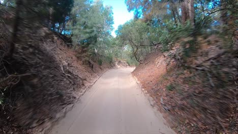 Rear-facing-driving-point-of-view-POV-travelling-along-a-deserted-and-flat-sandy-inland-track,-surrounded-by-steep-banks-and-overhanging-trees---ideal-for-interior-car-scene-green-screen-replacement