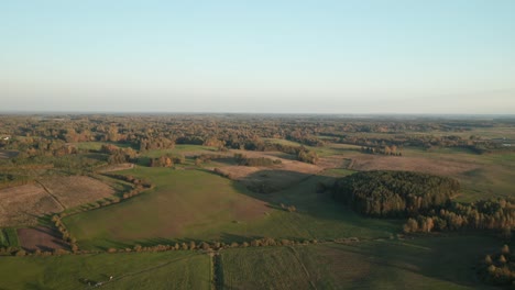 AERIAL:-Forest-with-Plains-on-a-Summer-Evening-During-Golden-Hour