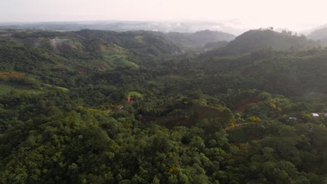 Misty-green-forest-landscape-of-Central-American-jungles,-Honduras