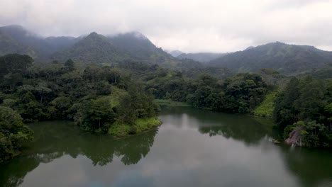 Aufsteigender-Filmischer-Luftblick-über-Die-Grüne-Lagune-Und-Die-Reflexion-Von-Walddschungelbäumen