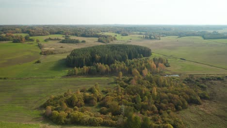AERIAL:-Landscape-of-Forest-in-Europe-During-Autumn-Season
