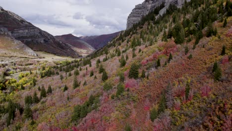 Beautiful-Autumn-Forest-Near-The-Bridal-Veil-Falls-In-Utah,-USA