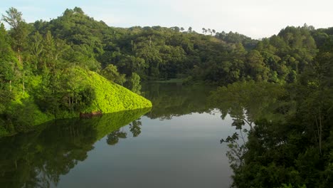 Aufsteigender-Luftblick-über-Die-Grüne-Lagune-Und-Reflexion-Von-Walddschungelbäumen