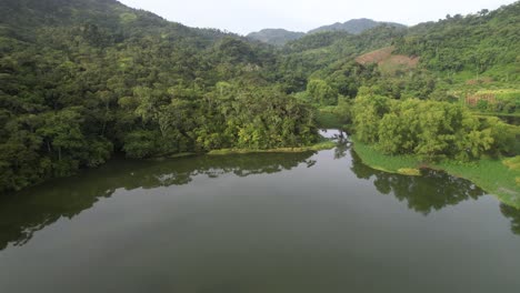 Aufsteigender-Filmischer-Luftblick-über-Die-Grüne-Lagune-Und-Die-Reflexion-Von-Walddschungelbäumen
