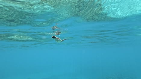Eine-Kleine-Seeschildkröte,-Die-Langsam-Durch-Den-Klaren-Ozean-Schwimmt
