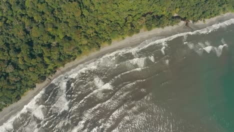 Luftaufnahme-Von-Oben-Nach-Unten-Kreisaufnahme-Des-Leeren-Strandes-In-Costa-Rica-Mit-Grüner-Baumstruktur-Im-Sommer