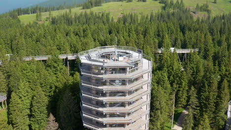 Pohorje-Baumwipfelpfad-Inmitten-Eines-üppigen-Grünen-Waldes-In-Rogla,-Slowenien