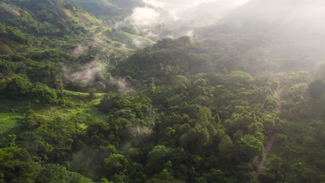 Vista-Aérea-Cinematográfica-Del-Bosque-Brumoso-En-Las-Selvas-Centroamericanas,-Honduras