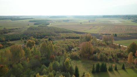 AERIAL:-Romantic-Landscape-of-Forest-in-Europe-During-Autumn-Season