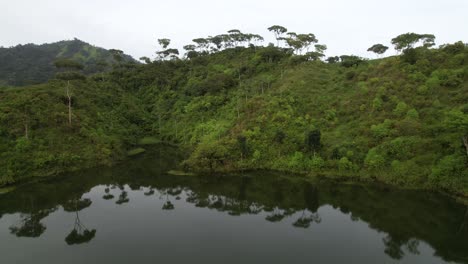 Filmischer-Luftblick-über-Grünen-Walddschungel-Mit-Lagune-Und-Reflexion-Von-Bäumen-Am-Sommertag-In-Honduras,-Mittelamerika