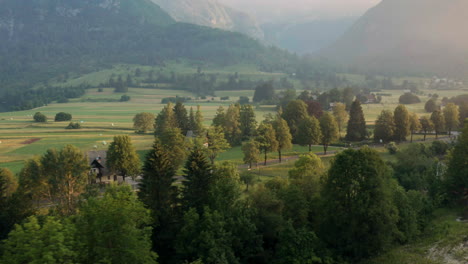 Luftaufnahme-Von-Grünen-Bäumen-Entlang-Der-Landstraße-Bei-Sonnenaufgang-In-Bohinj,-Slowenien