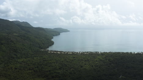 Panoramic-View-On-Rincon-Bay-With-Lush-Vegetation-And-Tranquil-Water-On-A-Cloudy-Day---aerial-drone-shot