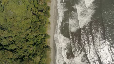 Aerial-birds-eye-over-beautiful-jungle-of-Costa-Rica-and-crashing-waves-of-Caribbean-Sea-during-sunny-day---Ascend-shot