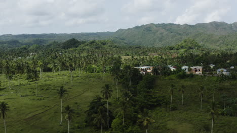 Houses-And-Palm-Trees-In-A-Rural-Village-In-Dominican-Republic-On-A-Sunny-Day