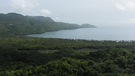 Vista-Aérea-De-La-Exuberante-Vegetación-Tropical-Y-La-Idílica-Bahía-De-Rincon-En-República-Dominicana---Disparo-De-Drones