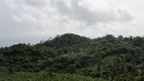 Vuelo-Suave-Y-Bajo-Sobre-El-Follaje-De-La-Selva-Tropical-Y-Los-Paisajes-De-La-República-Dominicana-Cerca-De-Playa-Rincón