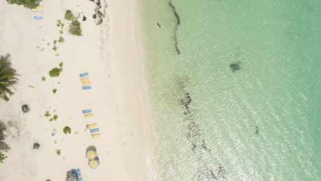 Birdseye-aerial-view-of-tropical-beach-huts-along-the-coast-of-Playa-Rincon-in-the-Dominican-Republic