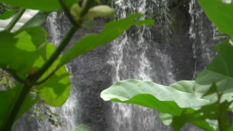 Erstaunliche-Nahaufnahme-Von-Baumblättern-Und-Wasserfall