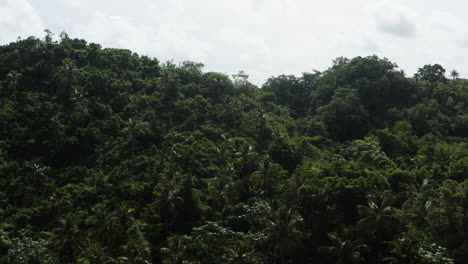 Panorama-Del-Vasto-Bosque-Verde-A-La-Orilla-Del-Mar-De-Playa-Rincón-En-República-Dominicana