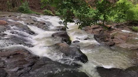 Wild-Mountain-River-Close-Up-Abundant-Clear-Stream