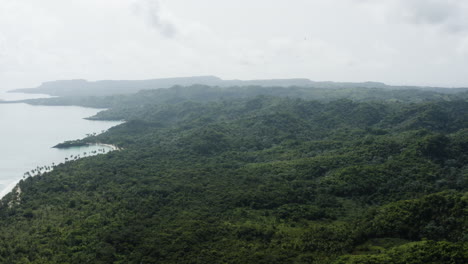 Schwenken-Aus-Der-Luft-Vom-Bergigen-Dschungelgebiet-Zu-Den-Goldenen-Stränden-Von-Playa-Rincon-In-Der-Dominikanischen-Republik