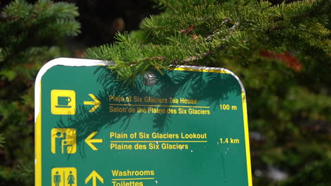 Sign-With-Directions-in-Banff-National-Park,-Alberta,-Canada