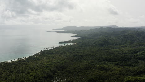 Vista-Panorámica-De-La-Densa-Vegetación-Y-La-Playa-Tropical-En-Playa-Rincón,-República-Dominicana---Toma-Aérea-De-Drones