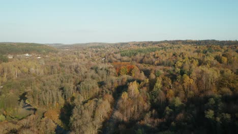 AERIAL:-Autumn-Season-with-Forest-and-Trees-With-Golden-Brown-and-Red-Leaves-with-Clear-Blue-Sky-in-Background