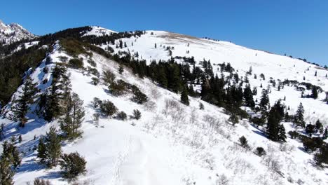 Fantastische-Luftaufnahme-Von-Hohen-Bergen-Und-Bäumen,-Die-In-Utah-Mit-Schnee-Bedeckt-Sind