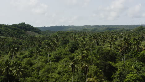 Beautiful-green-tropical-landscape-of-Playa-Rincon-in-the-Dominican-Republic
