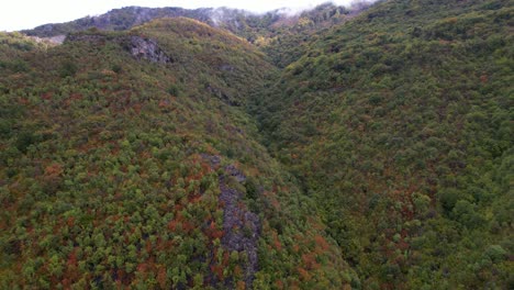 Bergwald-Mit-üppiger-Vegetation-Und-Buntem-Laub-Im-Herbst-Nach-Dem-Regen