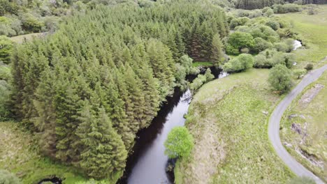 Flying-backwards-over-green-forest-and-black-river-stream-in-Ireland