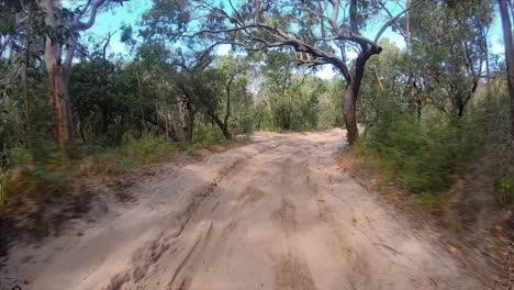 Rear-facing-driving-point-of-view-POV-travelling-along-a-deserted-bumpy-sandy-inland-track,-surrounded-by-thick-bushland-and-overhanging-trees---ideal-for-interior-car-scene-green-screen-replacement