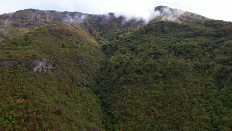Berglandschaft-Nach-Dem-Regen-Mit-Waldbäumen-Und-Nebel-In-Der-Herbstsaison