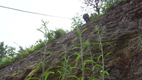 The-trapped-people-who-encountered-a-landslide-quickly-fell-to-the-ground-through-a-rope