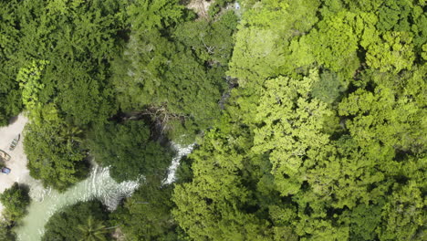 Dichte-Bäume-Bedecken-Den-Fluss-Caño-Frio-In-Playa-Rincon,-Halbinsel-Samaná,-Dominikanische-Republik