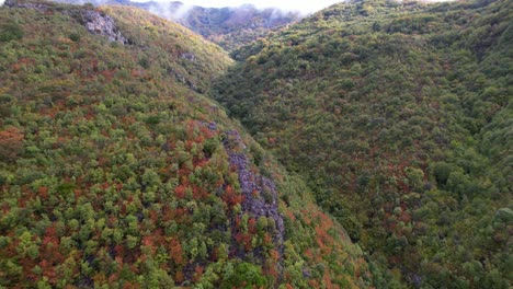 Autumn-season-on-mountains-with-dense-forests-in-colorful-foliage,-brown-green-trees