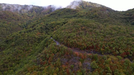 Herbst-Im-Bergwald-Mit-Grünen-Und-Braunen-Bäumen-Und-Hohen-Gipfeln,-Die-Von-Nebel-Bedeckt-Sind