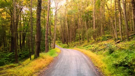 Drone-footage-of-a-beautiful-old-road-through-an-ancient,-magical-autumn-forest-with-beautiful-light-and-tall-trees-in-the-Appalachian-mountains