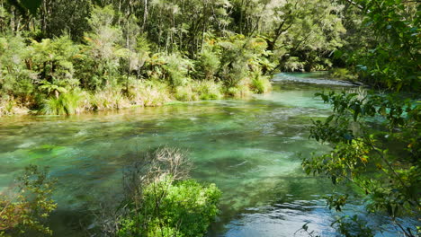 Schwenkaufnahme-Mit-Langsam-Fließendem-Tropischem-Fluss,-Umgeben-Von-Grünem-Dschungel-Bei-Sonnenlicht---Tarawere-Fluss-In-Neuseeland