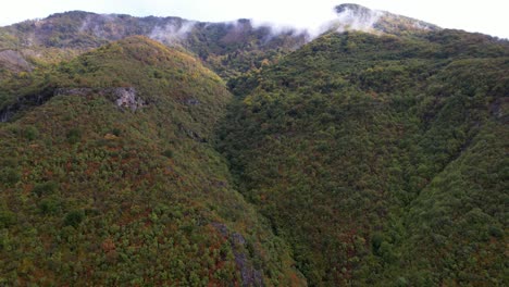 Pico-De-Alta-Montaña-Cubierto-De-Niebla-En-Otoño-Después-De-La-Lluvia,-Hermoso-Bosque-Con-Follaje-Colorido