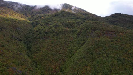 Fog-covers-high-peak-of-mountain-with-dense-forest-in-colorful-foliage-at-Autumn