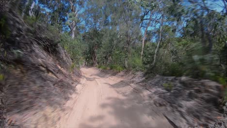 Rear-facing-driving-point-of-view-POV-travelling-along-a-deserted-bumpy-sandy-inland-track,-with-steep-banks-thick-scrub-and-overhanging-trees---ideal-for-interior-car-scene-green-screen-replacement
