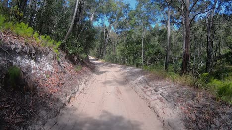 Rear-facing-driving-point-of-view-POV-4x4ing-along-a-straight-bumpy-sandy-inland-track,-with-steep-banks-thick-scrub-and-overhanging-trees---ideal-for-interior-car-scene-green-screen-replacement