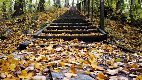 Pilgrim-trail-in-western-Sweden-in-autumn-foliage