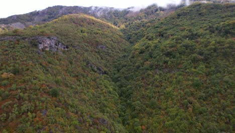 Friedliche-Naturlandschaft-Im-Herbst-Des-Berges-Mit-Buntem-Wald,-Felshang-Und-Nebel