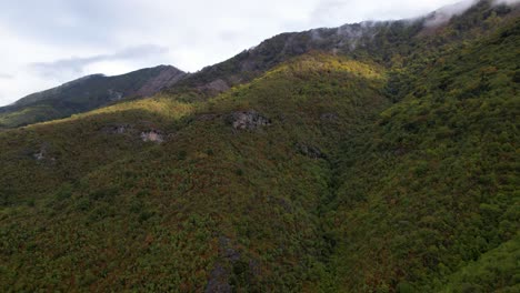 Herbstfarben-Am-Berghang-Mit-üppiger-Vegetation,-Die-Nach-Dem-Regen-Dampft