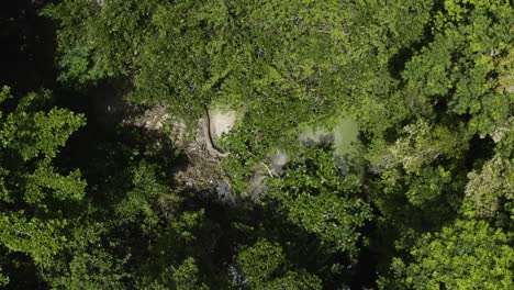 Klares-Wasser-Auf-Dem-Bach,-Bedeckt-Von-üppigen-Grünen-Wäldern-In-Playa-Rincon,-Dominikanische-Republik